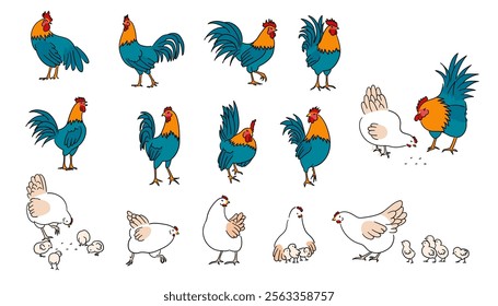 Hand drawn full body of chicken hen and rooster, domestic chicken, farm, poultry, hen