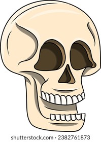 Hand Drawn Funny Human Skull Clipart