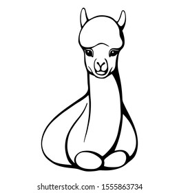 Hand drawn funny lama. Black and white drawing vector. Cute illustration for your design and coloring books and pages.