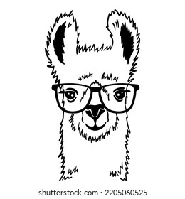 Hand Drawn Funny Portrait Of Llama With Glasses. Black And White Drawing Alpaca Animal. Cute Outline Vector Illustration Isolated On White Background.