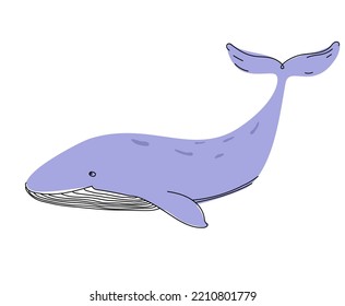 Hand drawn funny vector whale in doodle style.