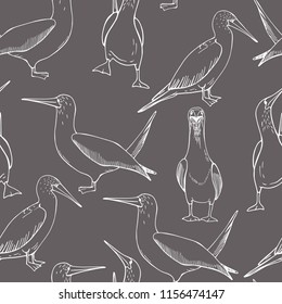 Hand drawn gannet.  Vector seamless pattern 