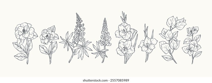 Hand drawn garden flowers.  Camellia, lupin, gladiolus, bougainvillea