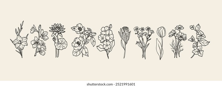 Hand drawn garden flowers collection