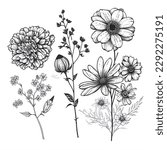 Hand Drawn Garden Flowers Vector Design - Black and White Illustration