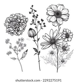 Hand Drawn Garden Flowers Vector Design - Black and White Illustration