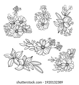 Flores de jardín dibujadas a mano.Ilustración de boceto vectorial.