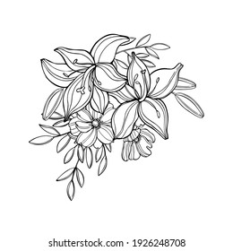 Hand drawn  garden flowers.Vector sketch  illustration.