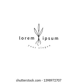 Hand drawn garden isolated illustration. Vector logo template, a sprout with roots. For business branding and identity, for farmers, lawn and plant care companies, for blogs and websites.