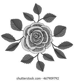 Hand drawn garden roses flower isolated on white background vector illustration