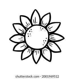 Hand drawn garden sunflower. Doodle sketch style. Drawing line simple sunflower. Isolated vector illustration.