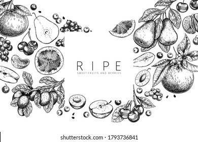 Hand drawn gargen fruits, citrus, and berries. Vector apple, pear, orange, lemon, grapefruit, mandarine, cherry, raspberry blueberry strawberry Engraved illustration Menu package cosmetic design
