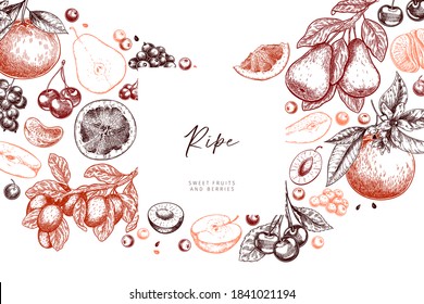 Hand drawn gargen fruits, citrus, and berries. Vector apple, pear, orange, lemon, grapefruit, mandarine, cherry, raspberry blueberry strawberry Engraved illustration Menu package cosmetic design