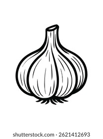 Hand Drawn Garlic Bulb Line Art Style