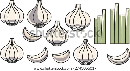 Hand Drawn Garlic Bulbs and Cloves Vector Illustration Set