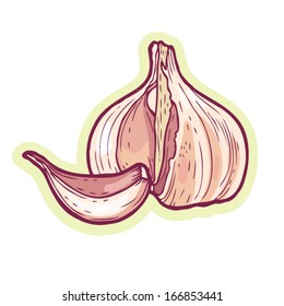 Hand drawn garlic cartoon vector.