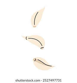Hand drawn garlic cloves. Set of three cloves in doodle style