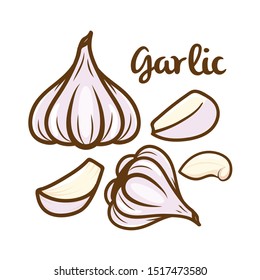 Hand drawn garlic collection design isolated on whit background. Vector illustration.