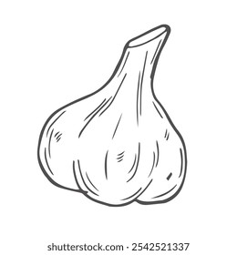 Hand drawn garlic icon. Vector badge vegetable in the old ink style for brochures, banner, restaurant menu and market