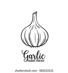 Hand drawn garlic icon. Vector badge vegetable in the old ink style for brochures, banner, restaurant menu and market