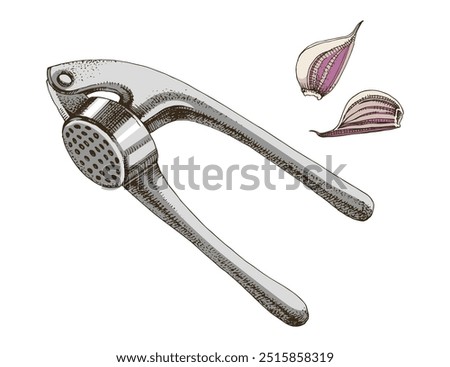 Hand drawn garlic press vector