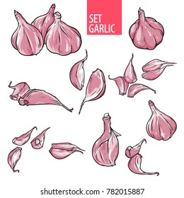 Hand drawn garlic set, cartoon line art garlic bulb and cloves, sketch style vector illustration isolated on white background