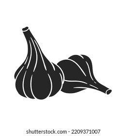 Hand drawn garlic vector illustration