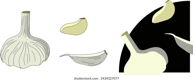 Hand drawn garlic. A whole head, a slice (clove) in a wrapper (peel, shell) and a slice (clove) without a wrapper (shell). You can use stroke and fill separately, or mixed. Food. Vector illustration.