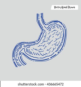 Hand Drawn Gastric. Vector Illustration. Eps.10
