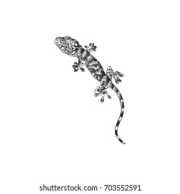 Hand Drawn Gecko Sketch Symbol. Vector Lizard Element In Trendy Style.