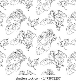 Hand drawn geranium branches with leaves seamless pattern. Outline wild plants painted by ink. Vector modern botanical endless background.