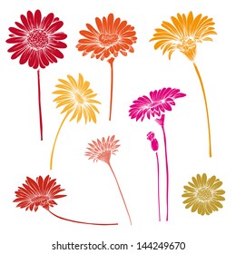 Hand drawn gerber flowers vector set