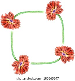 Hand drawn gerbera.Colour pencils illustration.
