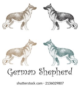 Hand Drawn German Shepherd Dog Vector Illustration
