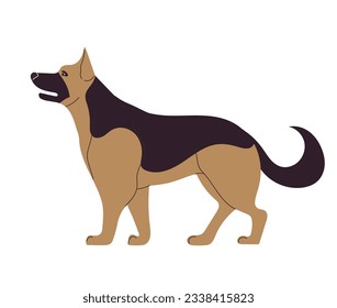 Hand drawn German Shepherd dog breed. Vector illustration isolated on white.