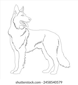 Hand drawn German Shepherd dog outline illustration