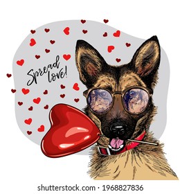 Hand drawn german shepherd with heart shape baloon. Vector Valentine day greeting card, poster. Cute colorful dog wears glasses,collar and tie. Romantic design. Lovely pet portrait. Spread love