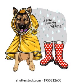 Hand drawn german shepherd with yellow raincoat and gumboots. Vector spring greeting card. Cute colorful dog with daffodil flower. I love spring rain. Lovely pet portrait. Poster, banner, flyer design