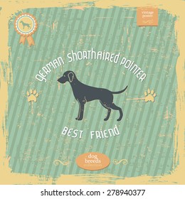 Hand drawn German Short haired Pointer vintage typography poster. All objects are conveniently grouped and are easily editable. Pure stylized silhouette of a dog is easily accessible