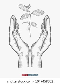 Hand drawn hand gesture. Safe palms with sprout.  Template for your design works. Engraved style vector illustration.