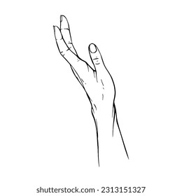 Hand drawn gesture sketch vector illustration line art