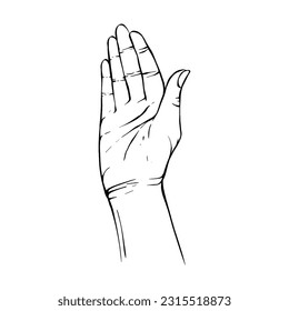 Hand drawn gesture sketch vector illustration line art