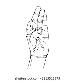 Hand drawn gesture sketch vector illustration line art