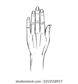 Hand drawn gesture sketch vector illustration line art