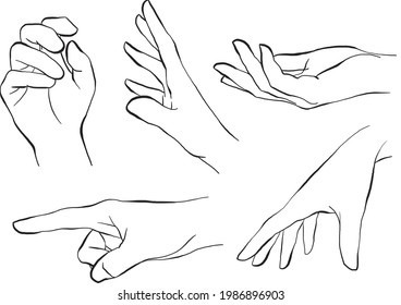 Hand Drawn Hand Gestures with elegant slim lines, Vector Illustrations for wedding invitations, greeting cards, posters, prints