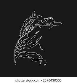 Hand drawn Giant kelp (Macrocystis pyrifera) algae graphic illustration. Natural drawing