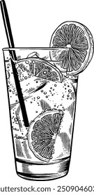 Gin desenhado à mão e Tonic Cocktail Beber Esboço Ilustração Gravura Estilo Woodcut