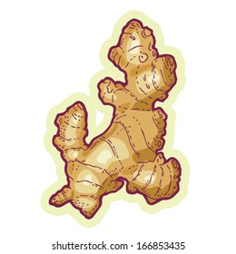Hand Drawn Ginger Cartoon Vector Stock Vector (Royalty Free) 166853435 ...