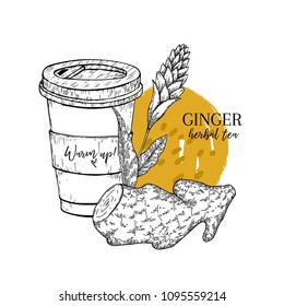 Hand drawn ginger herbal tea to go. Tea cup, roots and flower. Vectror engraved art. Spicy rhizhome vegetable. Food ingredient, aromatherapy, cooking. For restarant menu, treating, healt care.