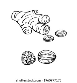Hand drawn ginger, nutmeg. Design elements isolated on white. Cooking icons. Vector illustration